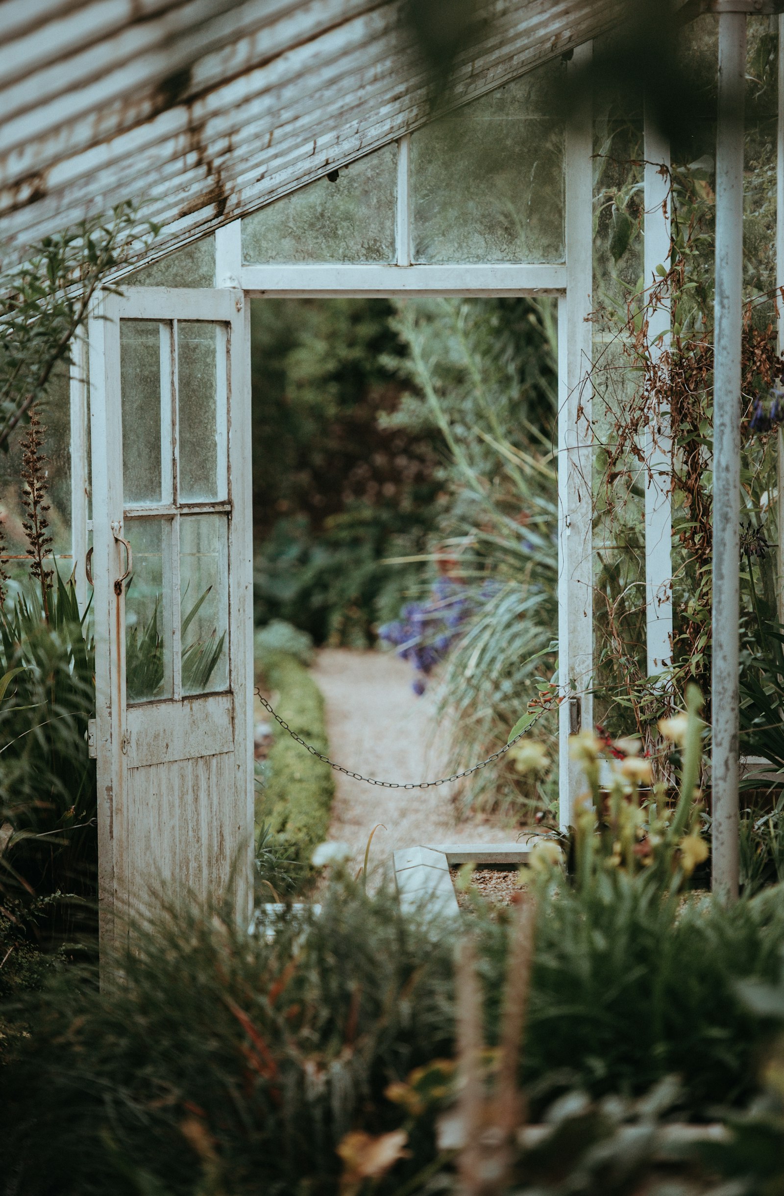 A white metal-framed greenhouse standing in a garden setting, its aluminum profile catching the light