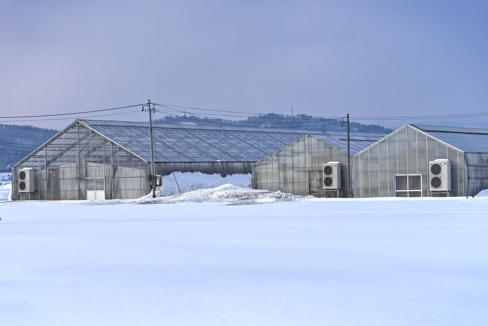 Gray greenhouse structures blanketed in snow under a clear blue sky