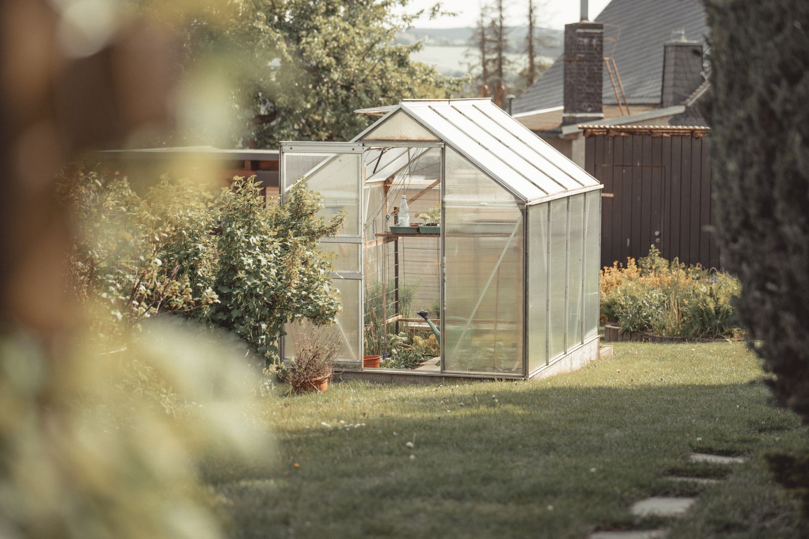 A small residential polycarbonate greenhouse nestled in a well-tended backyard garden