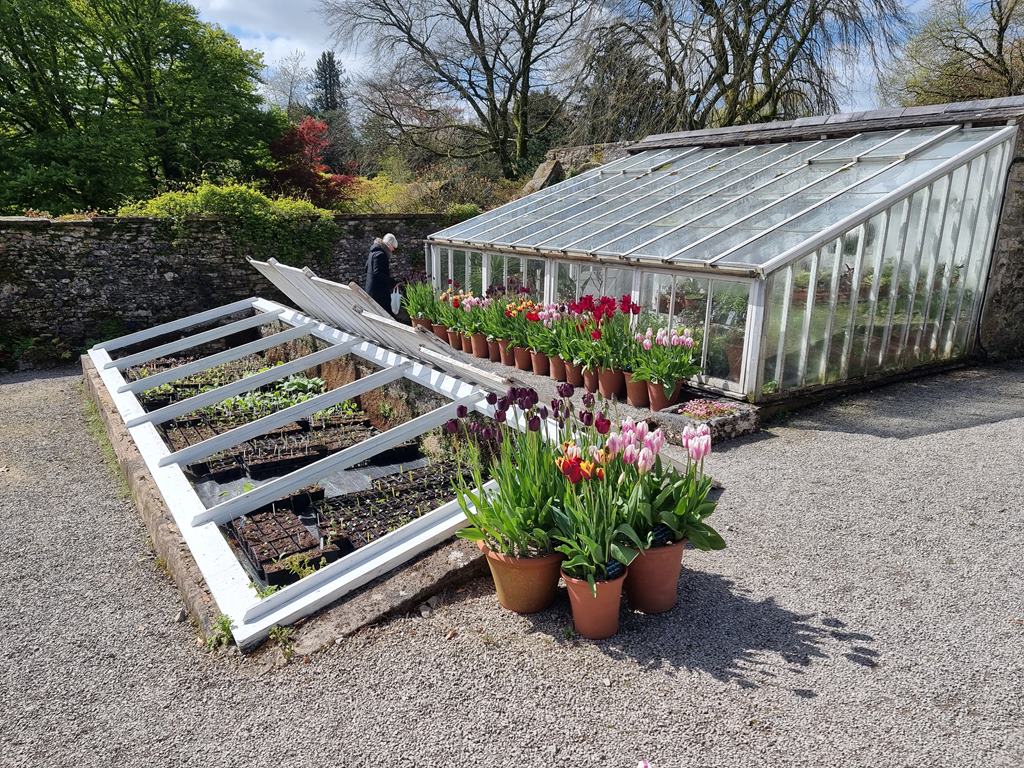 A small glazed cold frame sitting next to a garden shed and greenhouse