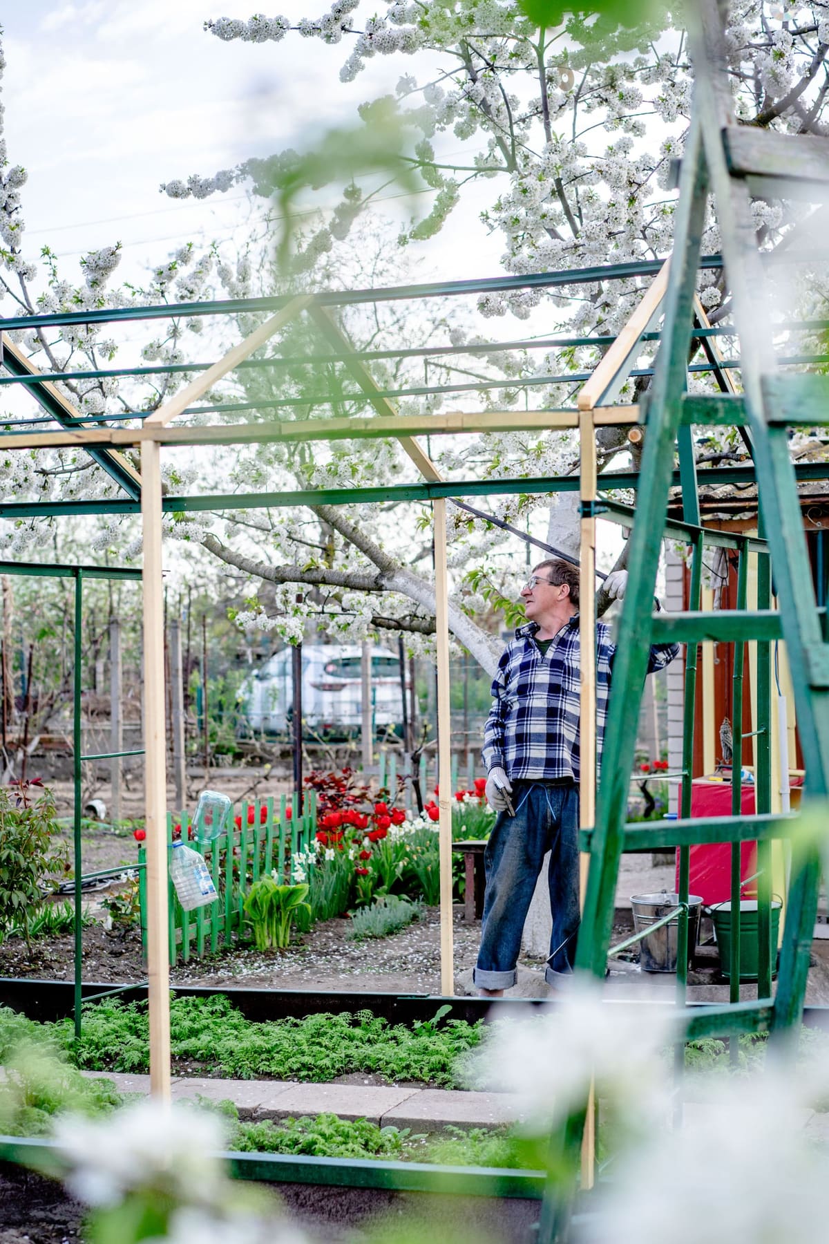 A gardener assembling a greenhouse frame over a prepared base in a backyard garden