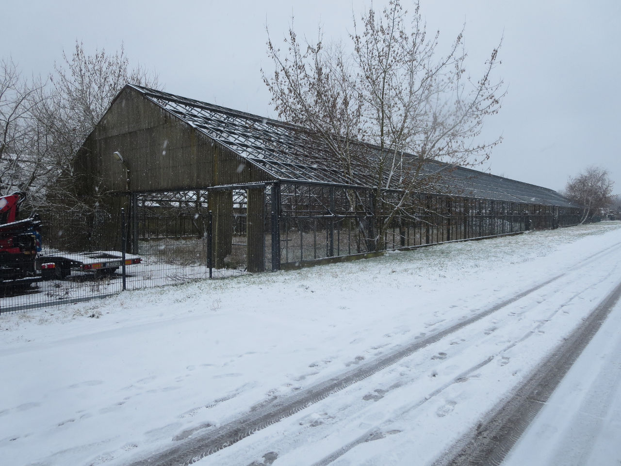 A greenhouse standing through winter, the structure intact above frozen ground