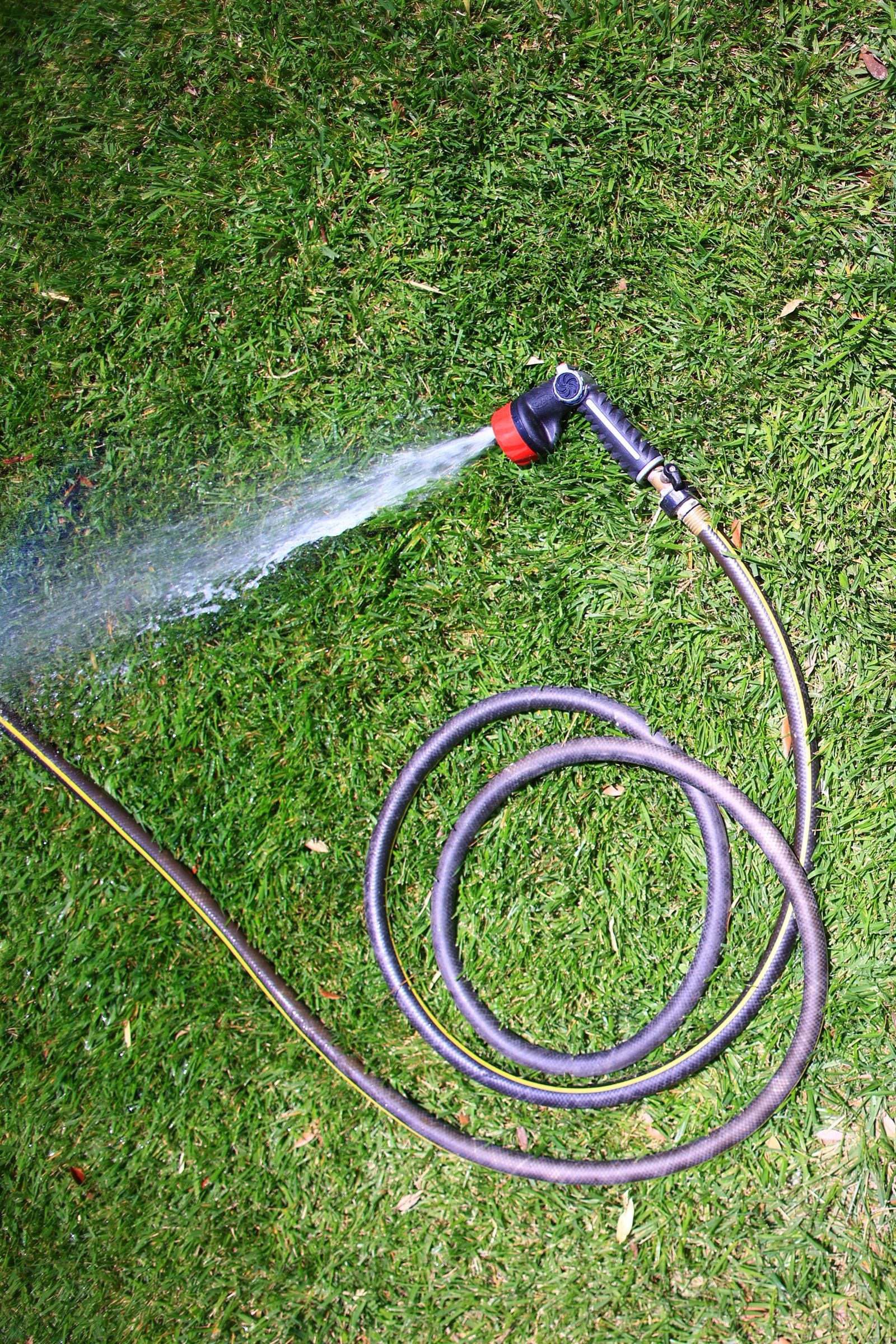 Clear water flowing from a garden hose in an outdoor garden setting