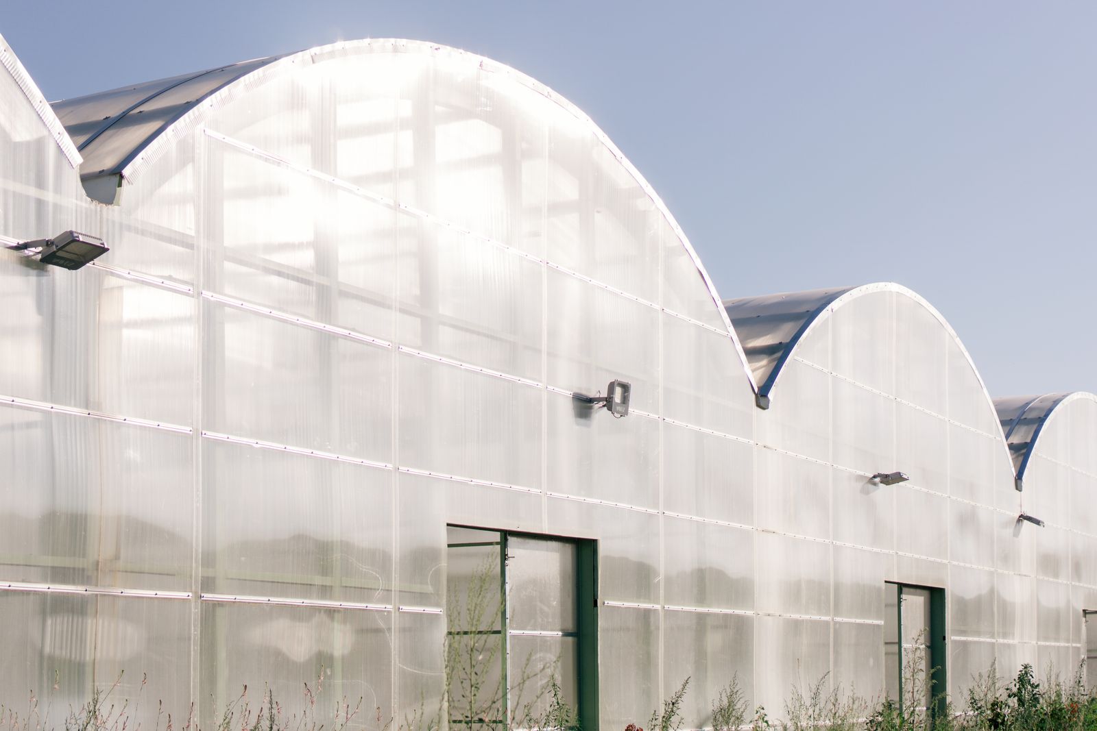A modern arched-roof greenhouse structure under a clear blue sky in bright daylight