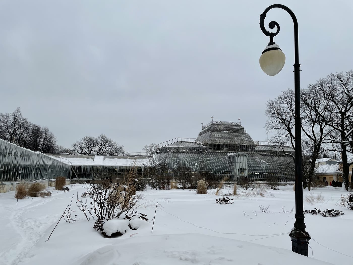 A botanical-garden greenhouse standing in deep winter snow, glass panels lit against the cold