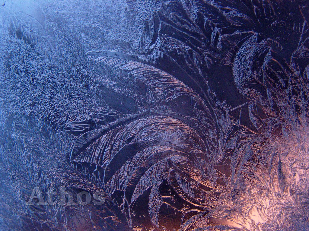 Feathered frost crystals spread across a cold pane of glass