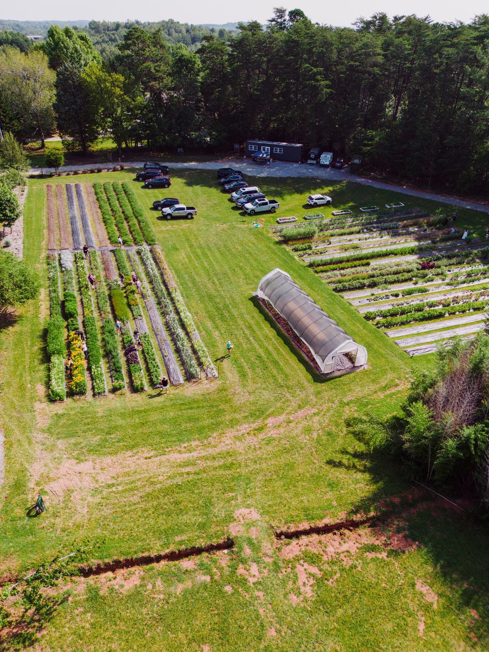 Aerial view of a market garden in Chickamauga, Georgia, showing multiple polytunnel structures alongside lush vegetable beds