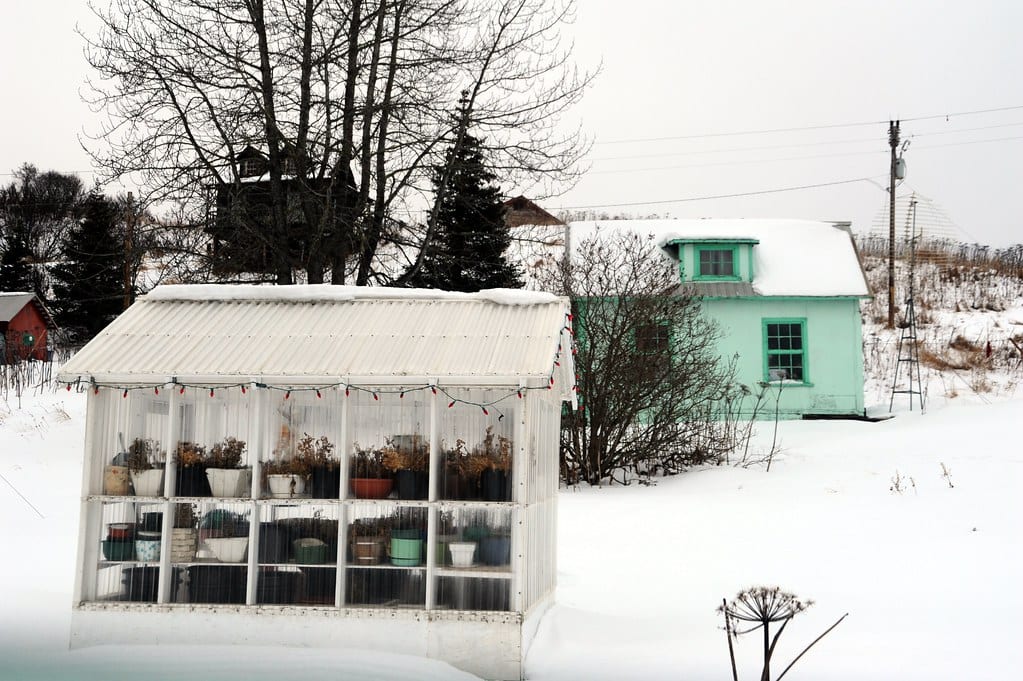 A small corrugated greenhouse standing in deep snow on the Kenai Peninsula, Alaska, in flat winter light
