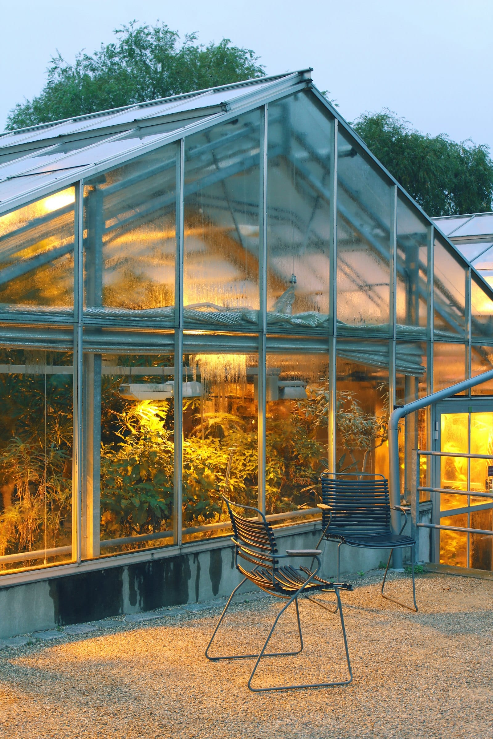 A standalone greenhouse with metal frame and glass panels, chairs visible inside, set in a residential garden