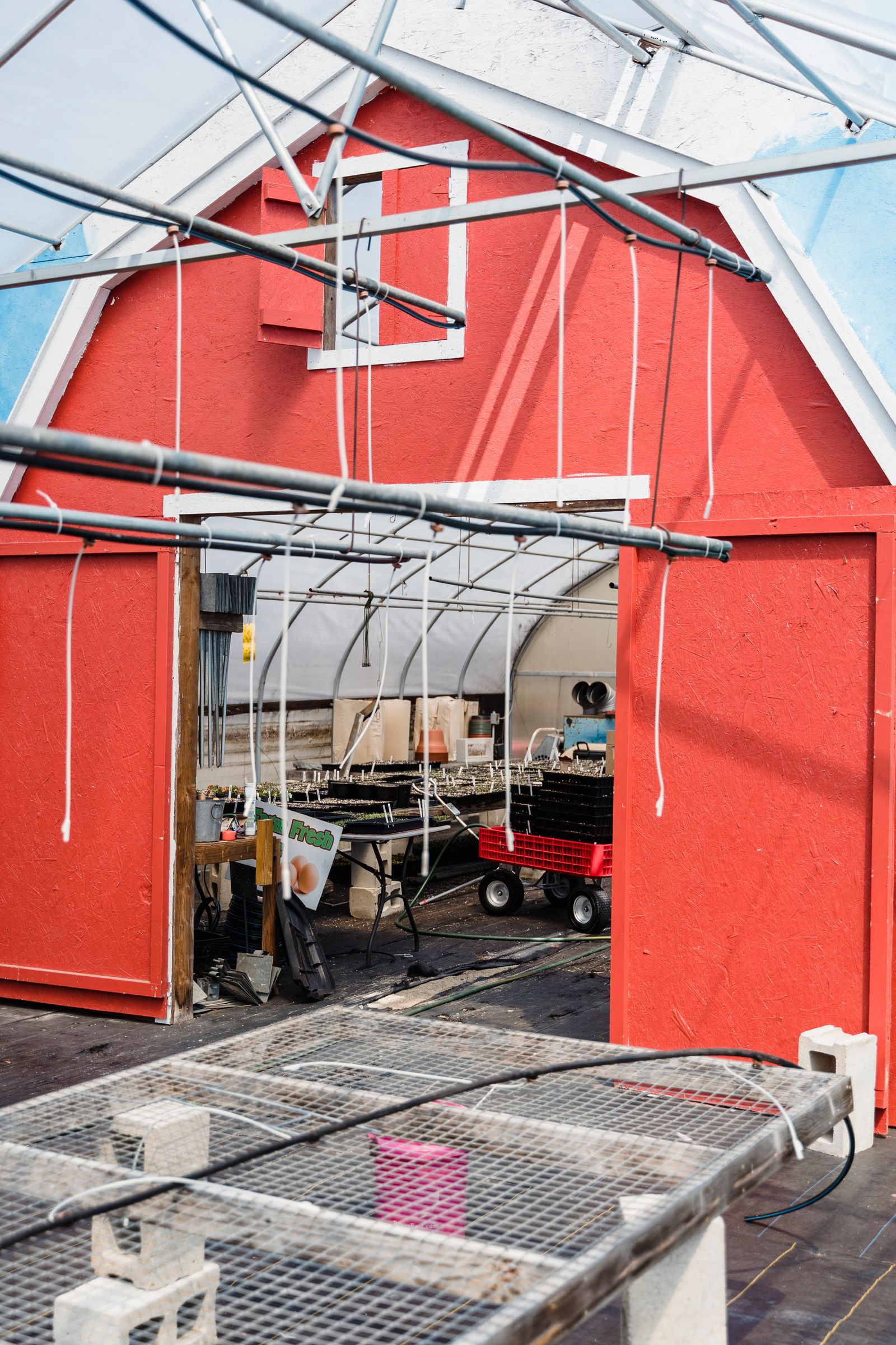 Greenhouse interior with seedlings, tools, and growing equipment organized inside a well-lit growing space