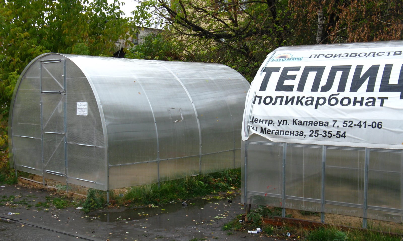 A row of polycarbonate greenhouse structures in a large growing facility, showing the arched roof profile and aluminum frame construction