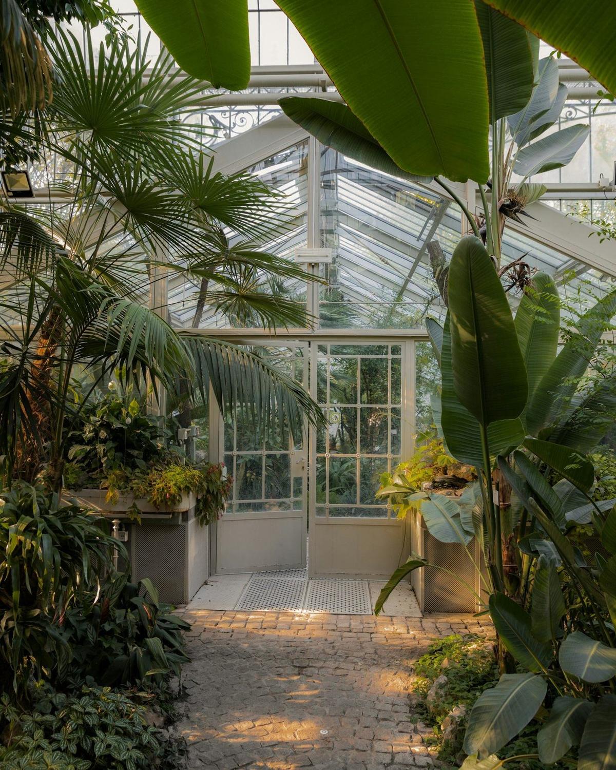 A pathway leading toward a glass greenhouse with dark aluminum framing set among mature trees and lush garden plantings