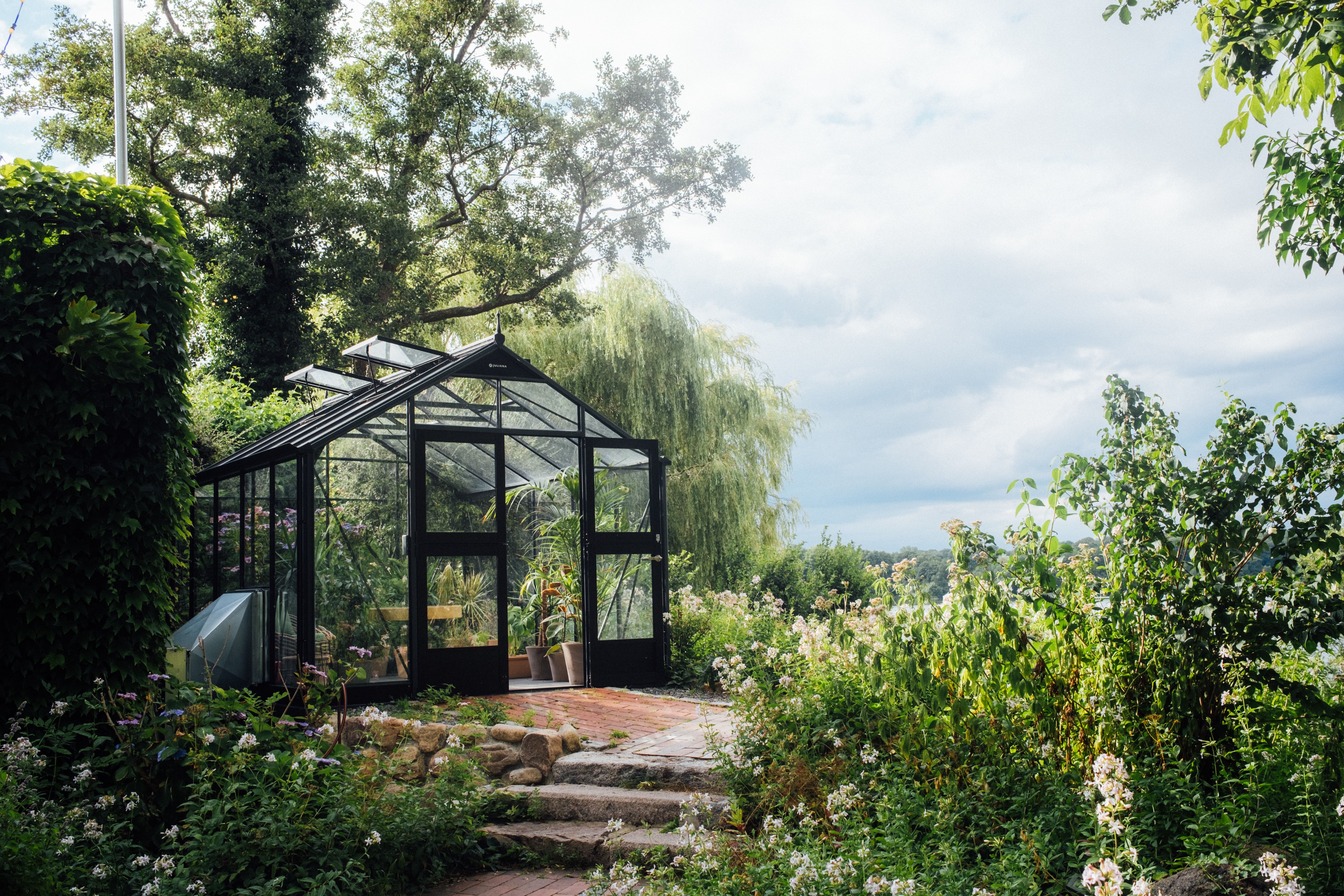 A backyard greenhouse standing in a lush garden under bright daylight, surrounded by trees and greenery