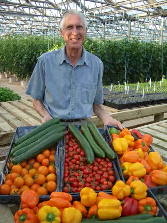 A hydroponic garden setup inside a greenhouse with rows of vegetables growing in raised channels