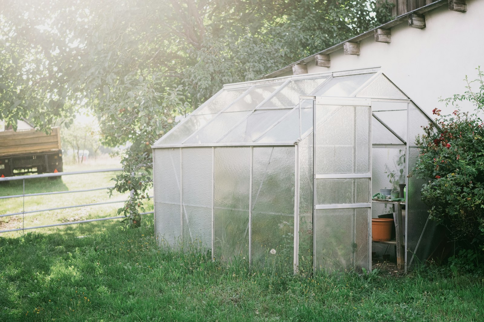 A small compact greenhouse structure placed in the middle of a residential yard with surrounding lawn and plantings