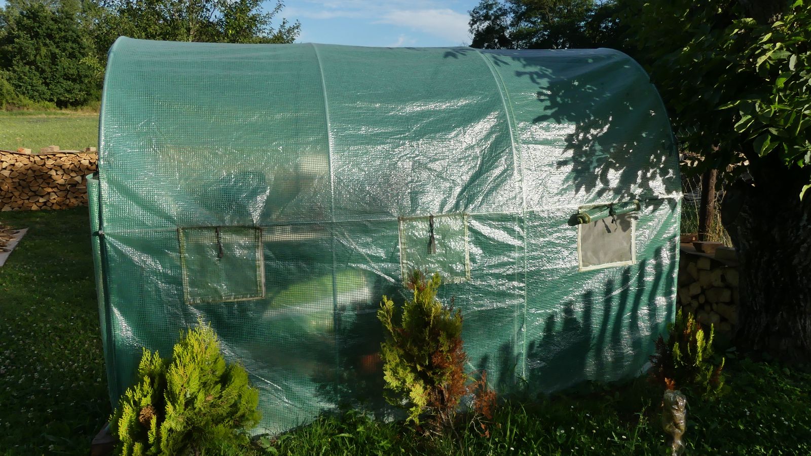 A small arched greenhouse surrounded by lush garden plants on a sunny day